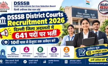 DSSSB District Courts Recruitment 2026: दिल्ली जिला अदालतों में 641 पदों पर भर्ती, 10वीं पास से ग्रेजुएट तक आवेदन करें